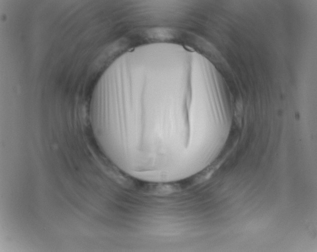 X0000070240330200606231949