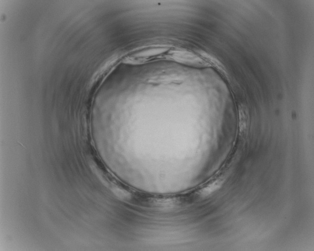 X0000070240349200606231948