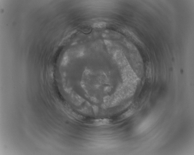 X0000070240363200606231949