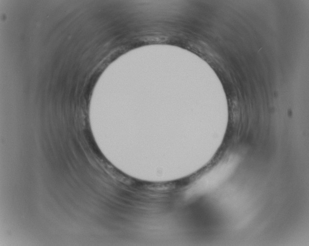 X0000070240370200606231949