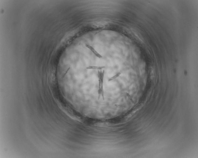 X0000070240408200606231948