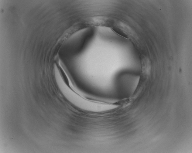 X0000070240425200606231947