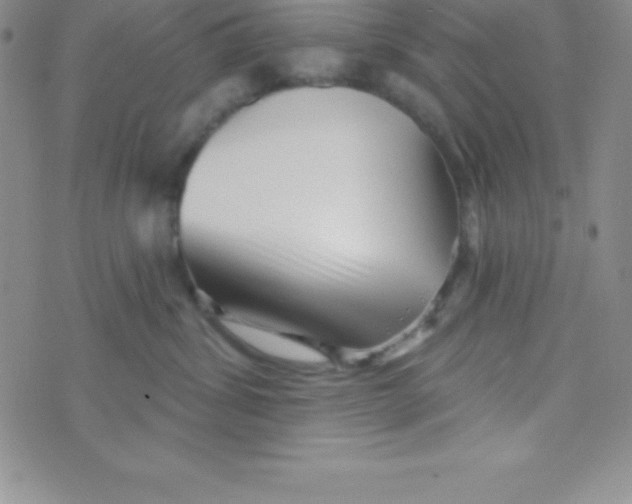 X0000070240428200606231947