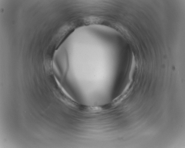 X0000070240429200606231947