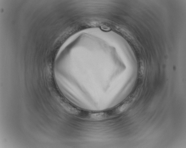 X0000070240461200606231947