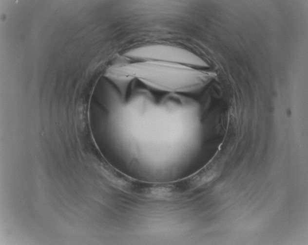 X0000070240462200606231947
