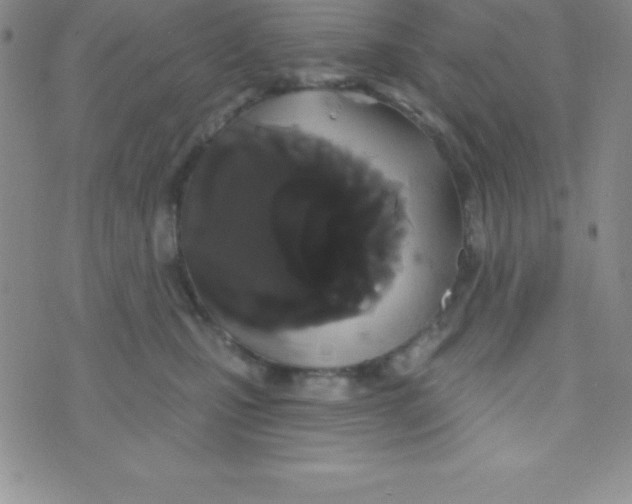 X0000070240471200606231947
