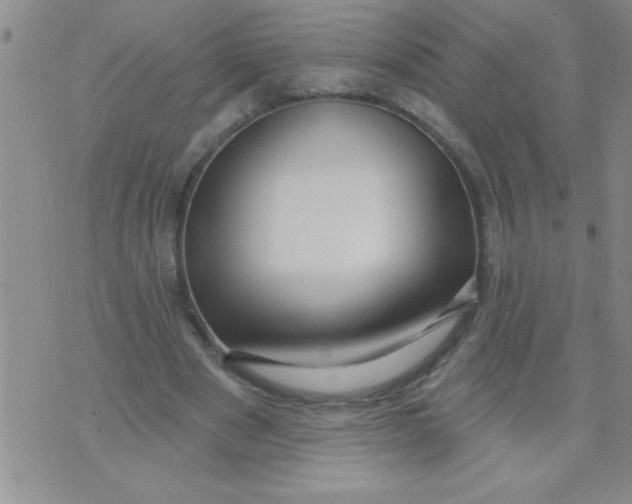 X0000070240489200606231946