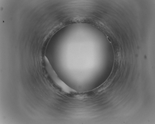 X0000070240508200606231946