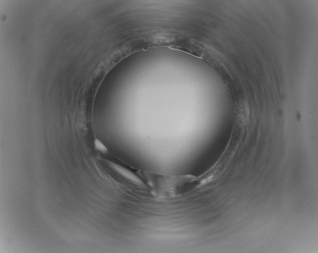 X0000070240512200606231946
