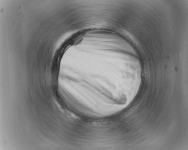X0000070240532200606231945