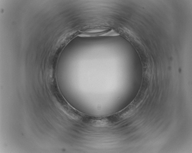 X0000070240548200606231945