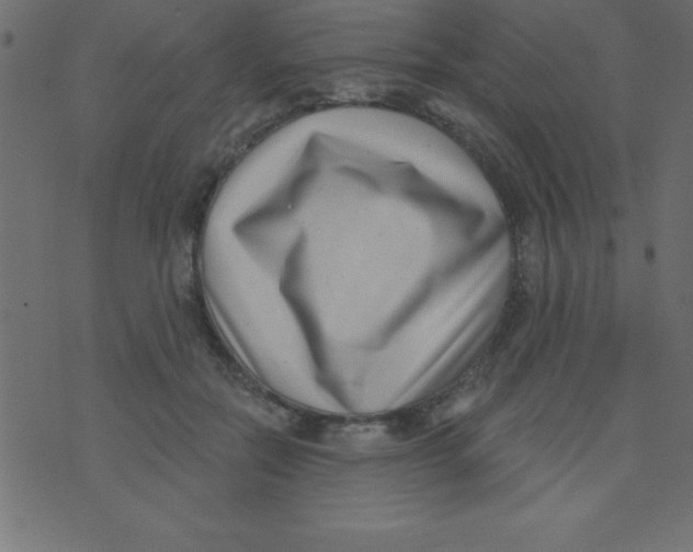 X0000070240554200606231945