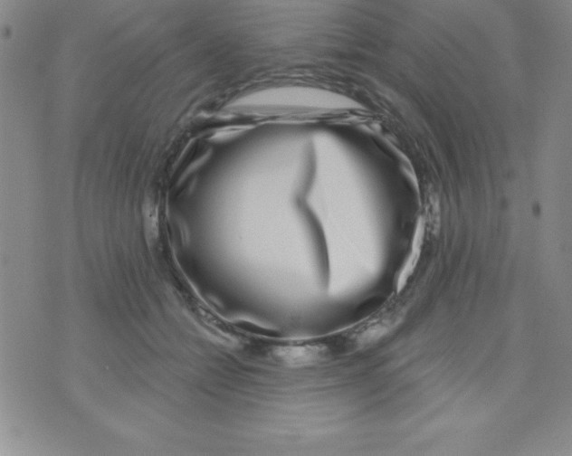 X0000070240558200606231945