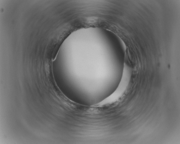 X0000070240562200606231946