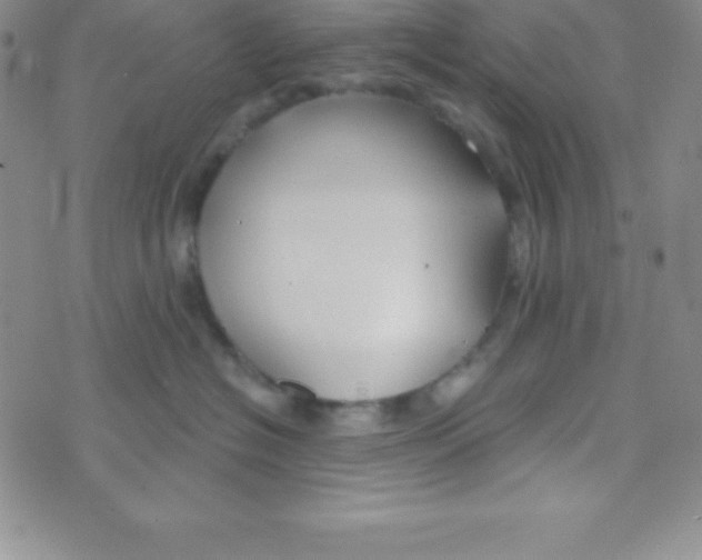 X0000070240574200606231946