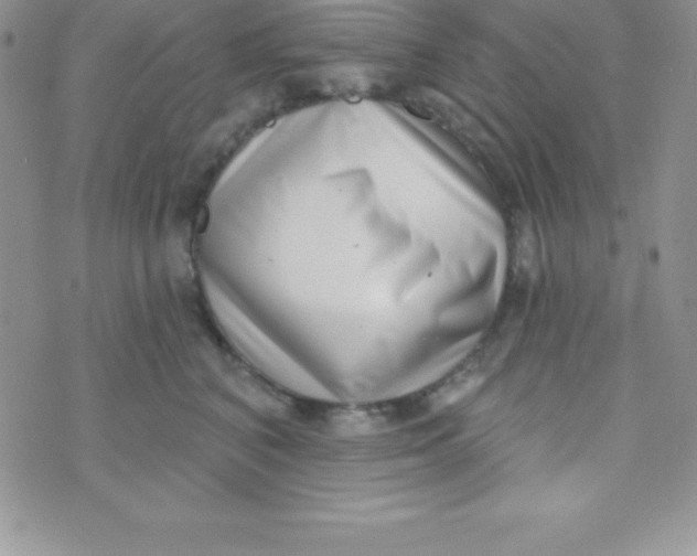 X0000070240616200606231944