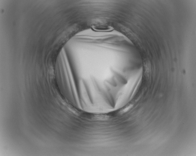 X0000070240617200606231944