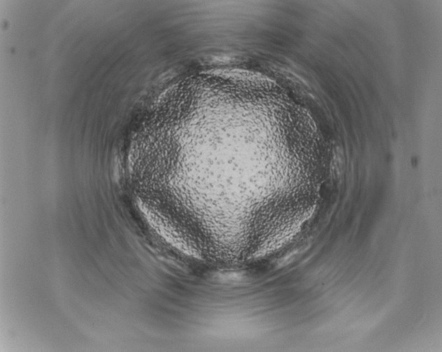 X0000070240651200606231944