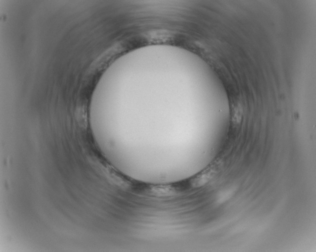 X0000070240666200606231944