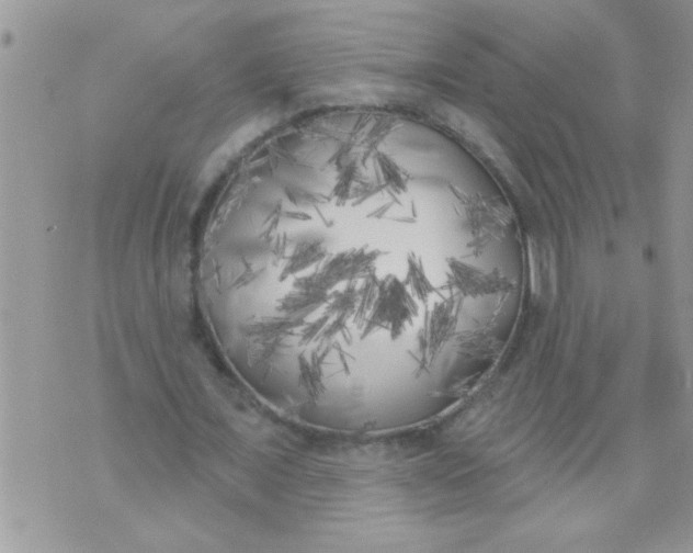 X0000070240675200606231943