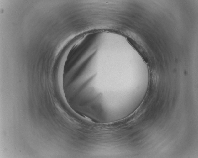 X0000070240676200606231943