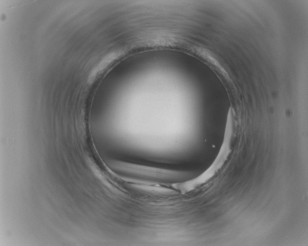 X0000070240677200606231943