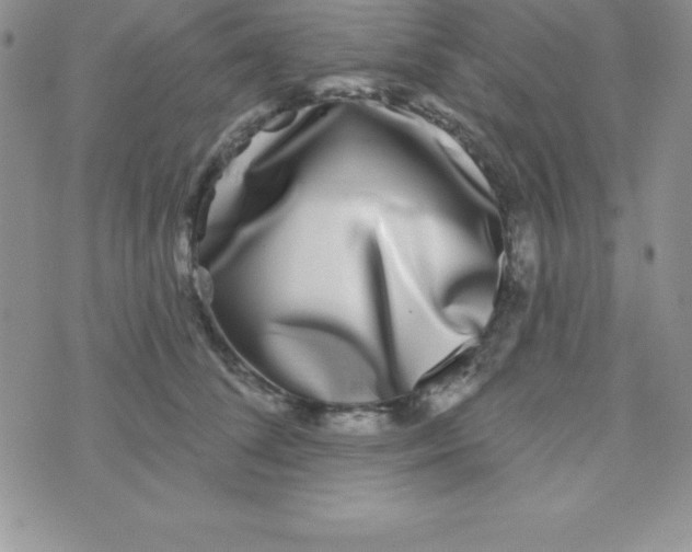 X0000070240708200606231943