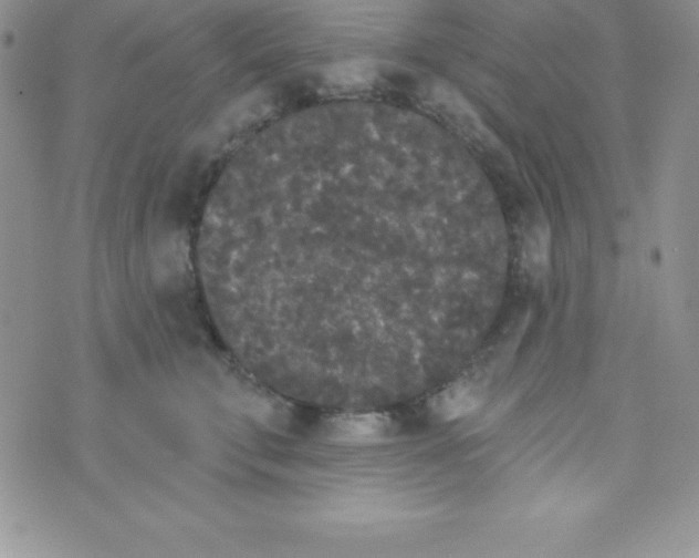X0000070240711200606231943
