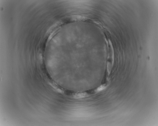 X0000070240716200606231943