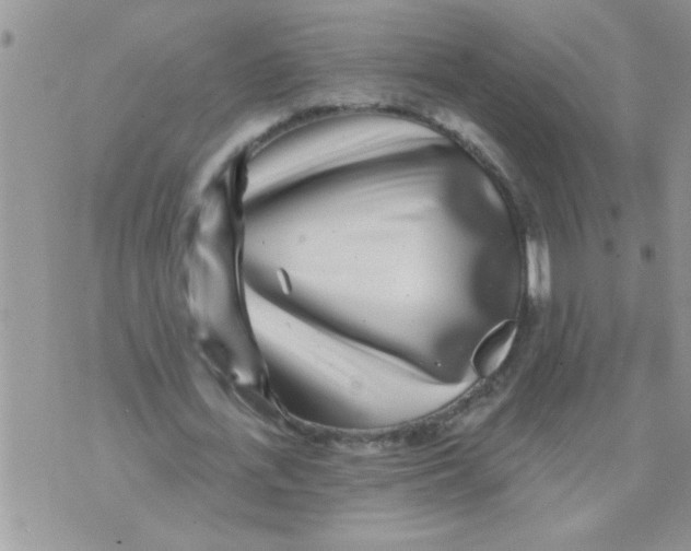 X0000070240723200606231942