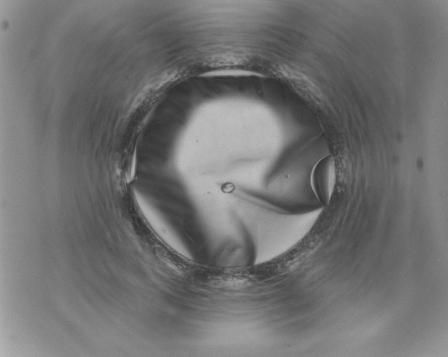 X0000070240743200606231942