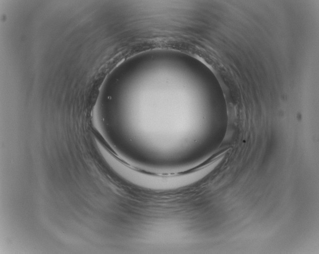 X0000070240750200606231942
