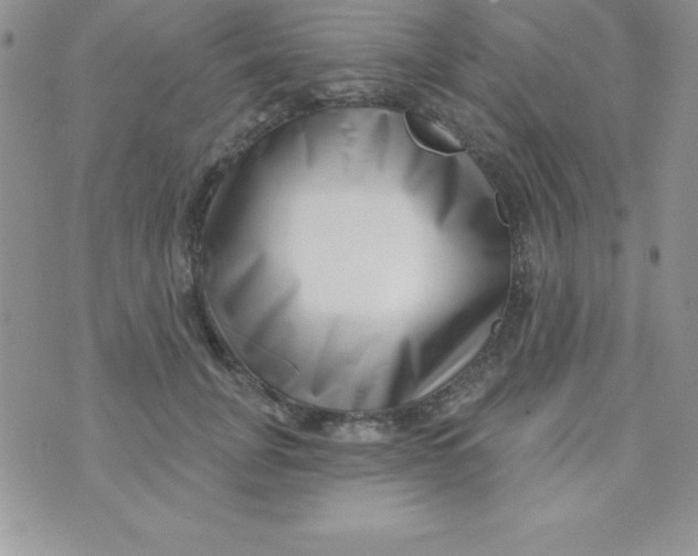 X0000070240751200606231942