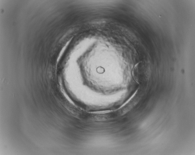 X0000070240758200606231942