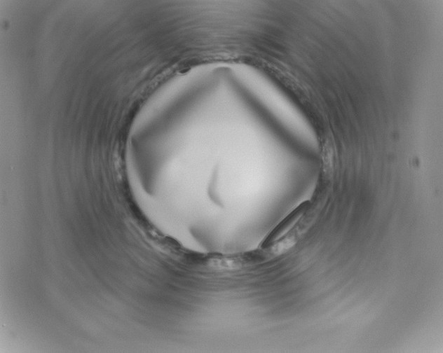 X0000070240764200606231943
