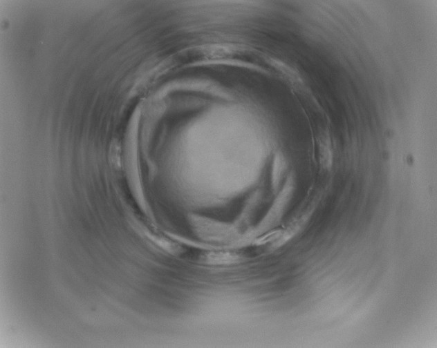 X0000070240766200606231943