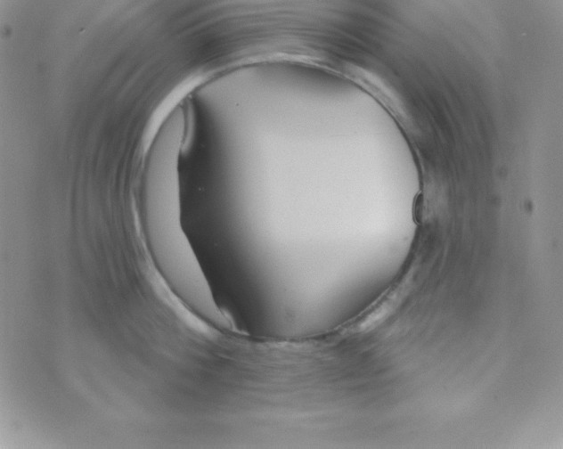 X0000070240812200606231941