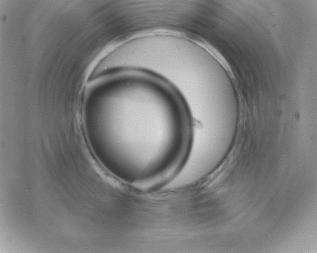 X0000070240813200606231941