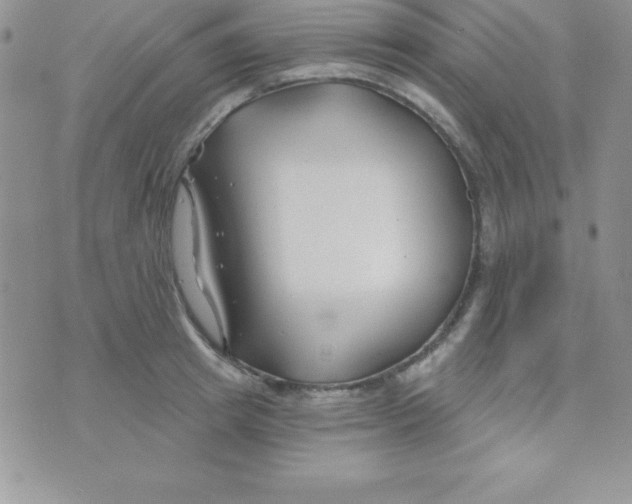 X0000070240849200606231941