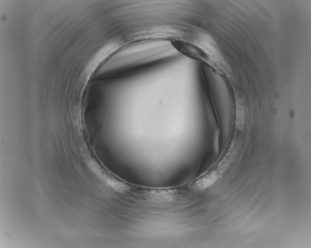 X0000070240850200606231941