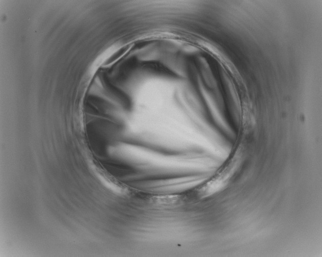 X0000070240858200606231941
