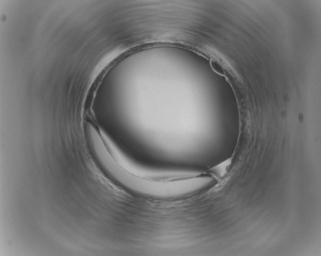 X0000070240884200606231940