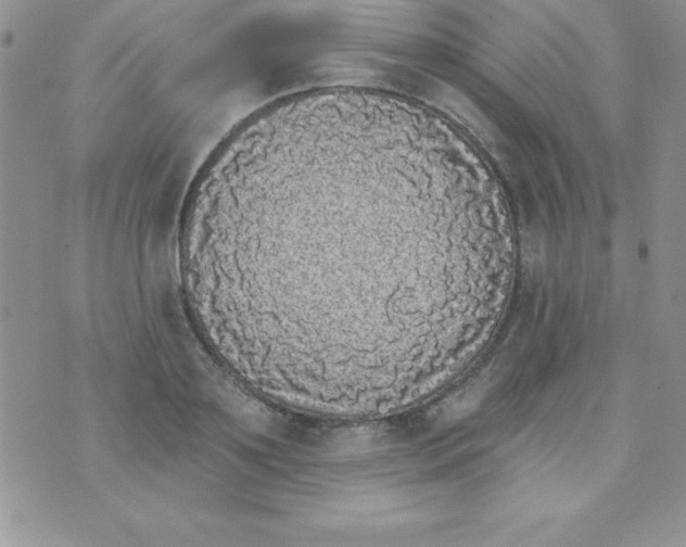 X0000070240891200606231940
