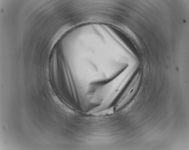 X0000070240896200606231940