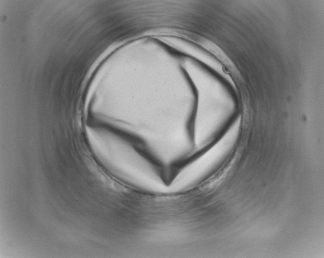 X0000070240908200606231940