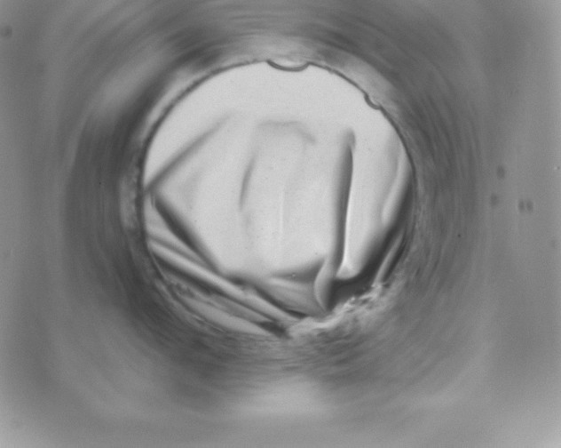 X0000070240912200606231940