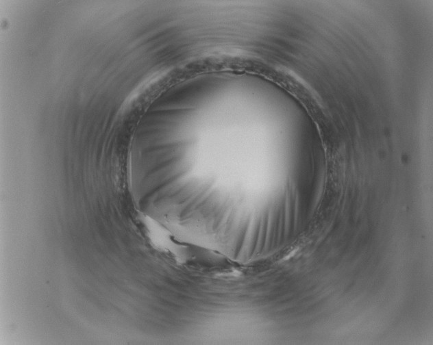 X0000070240919200606231939