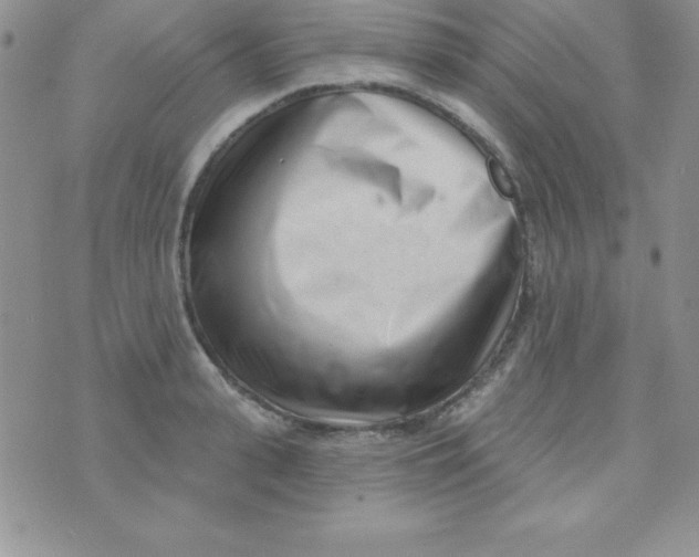 X0000070240943200606231939