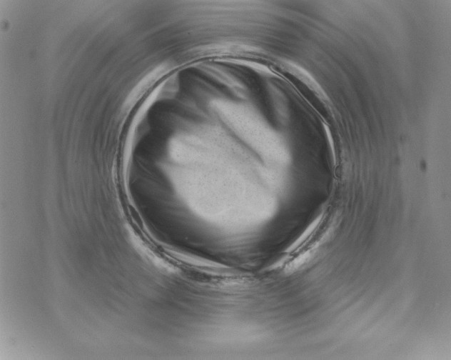 X0000070240946200606231939